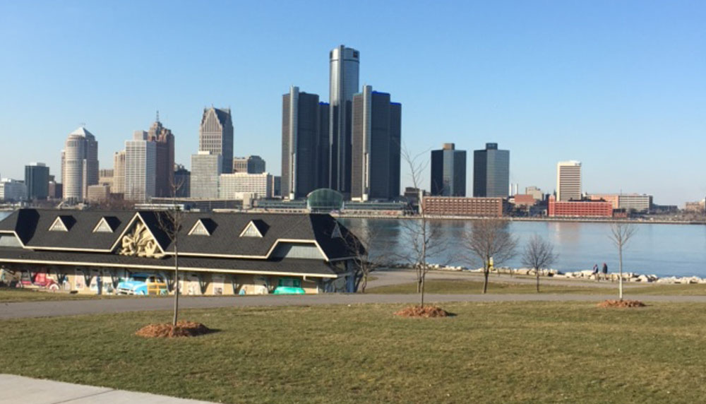 Farrow Trees Detroit Skyline
