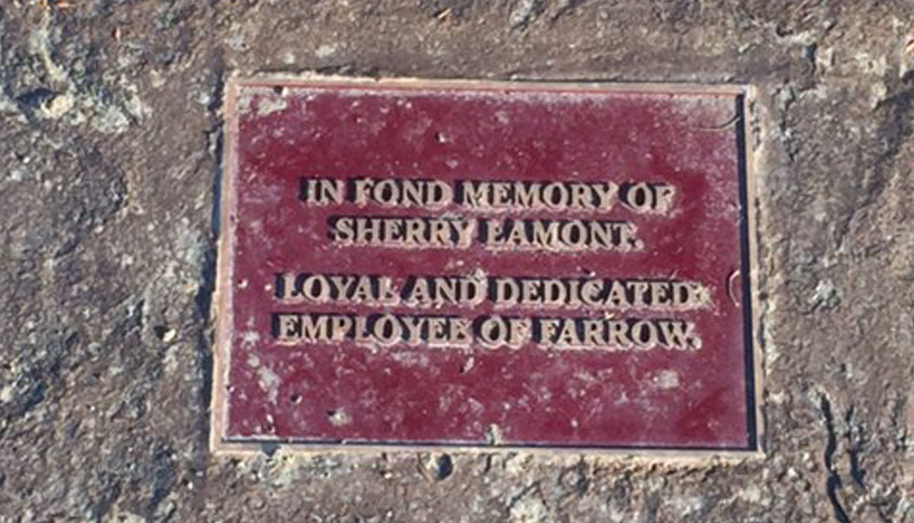 Farrow in Memory of Sherry Lamont